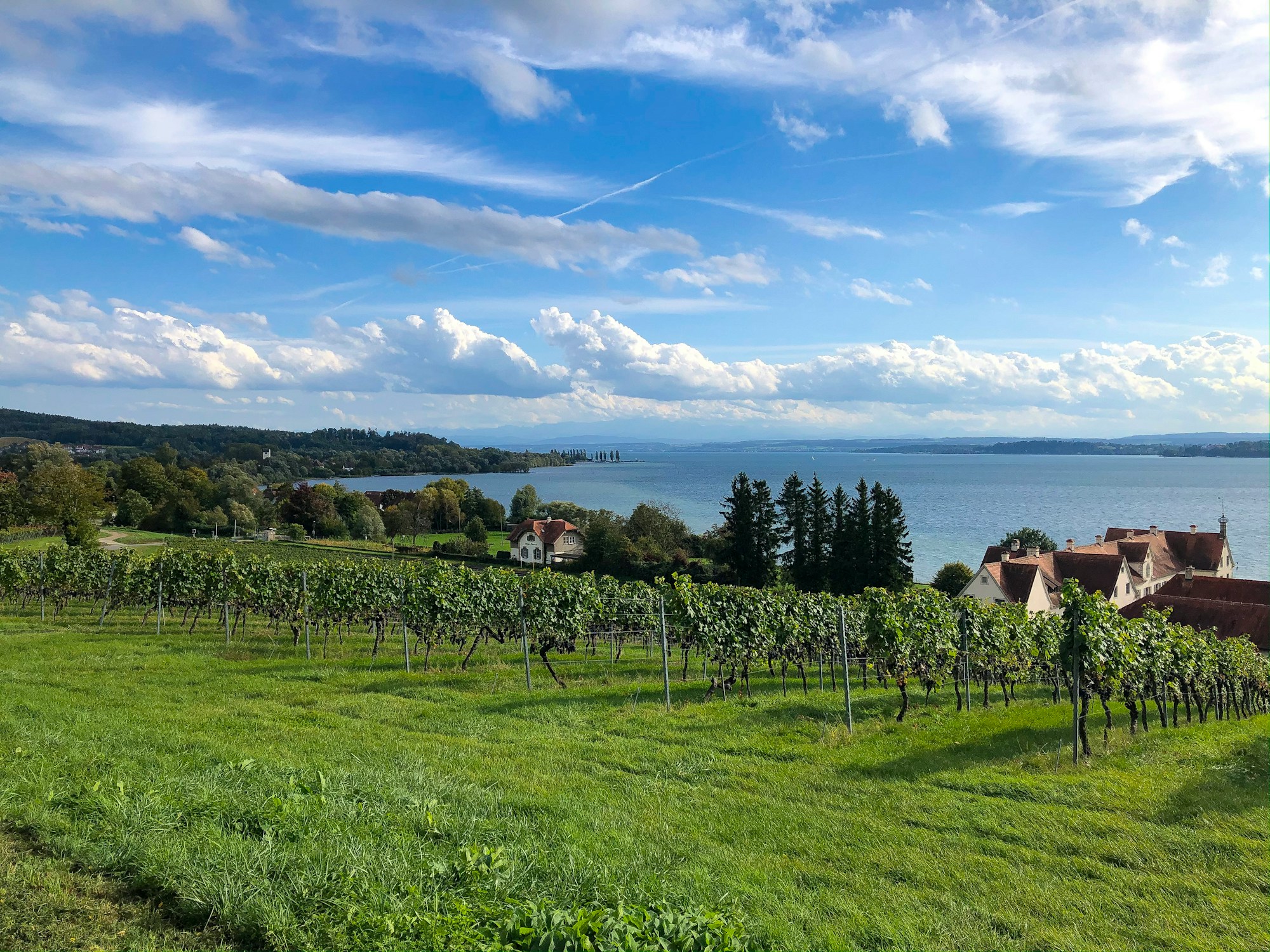 Familienurlaub am Bodensee: Tipps für unvergessliche Erlebnisse
